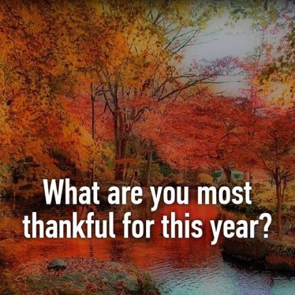 Meet your Posher, Martha - Picture 2 of 11